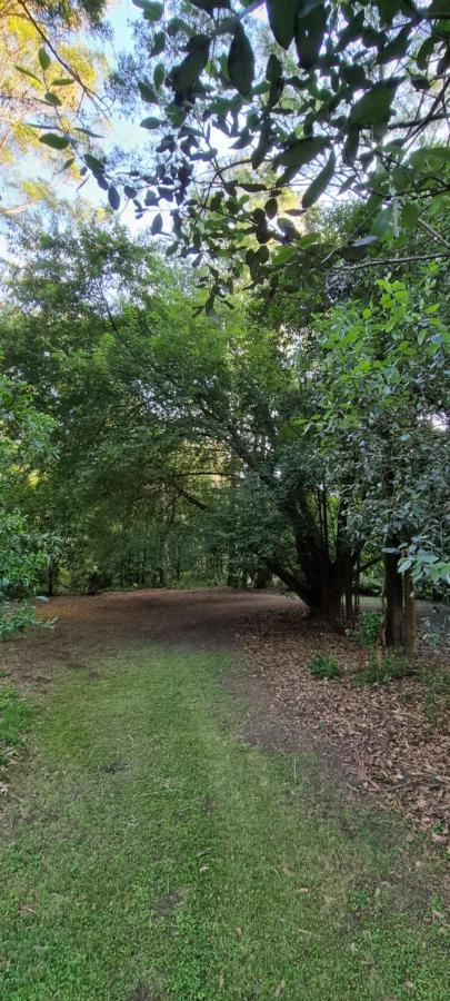 Cabbage Tree Creek Bird Songs Getaway Accommodation מראה חיצוני תמונה