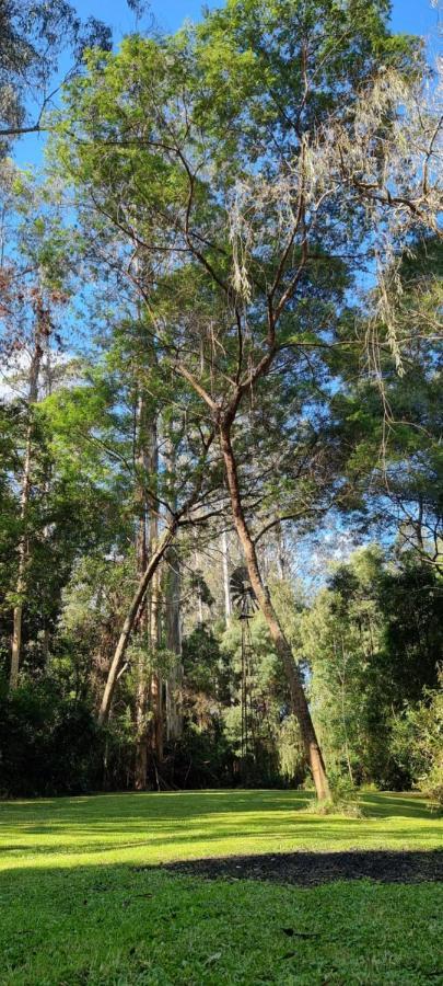 Cabbage Tree Creek Bird Songs Getaway Accommodation מראה חיצוני תמונה