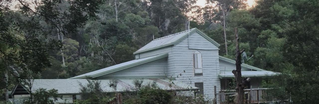 Cabbage Tree Creek Bird Songs Getaway Accommodation מראה חיצוני תמונה